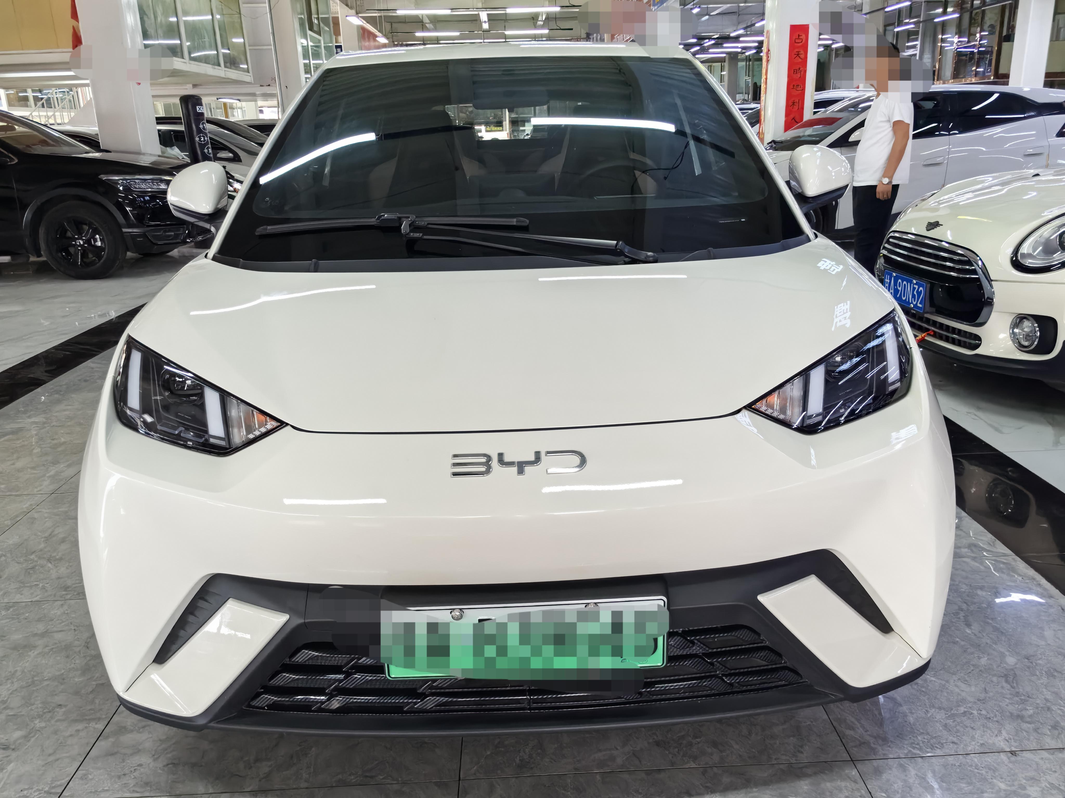 BYD Seagull 2024 thumb 11