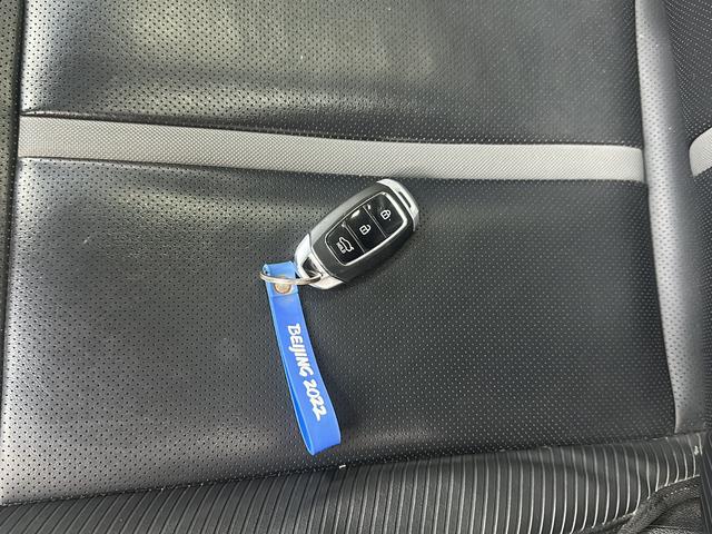 Hyundai Lafesta 2019 thumb 9