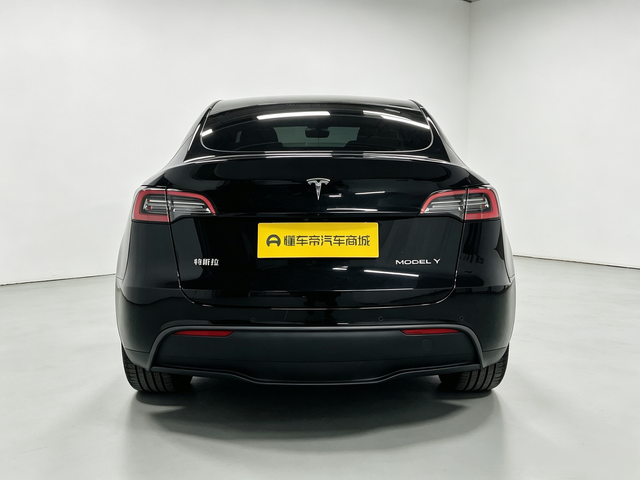 Tesla Model Y 2023 thumb 4