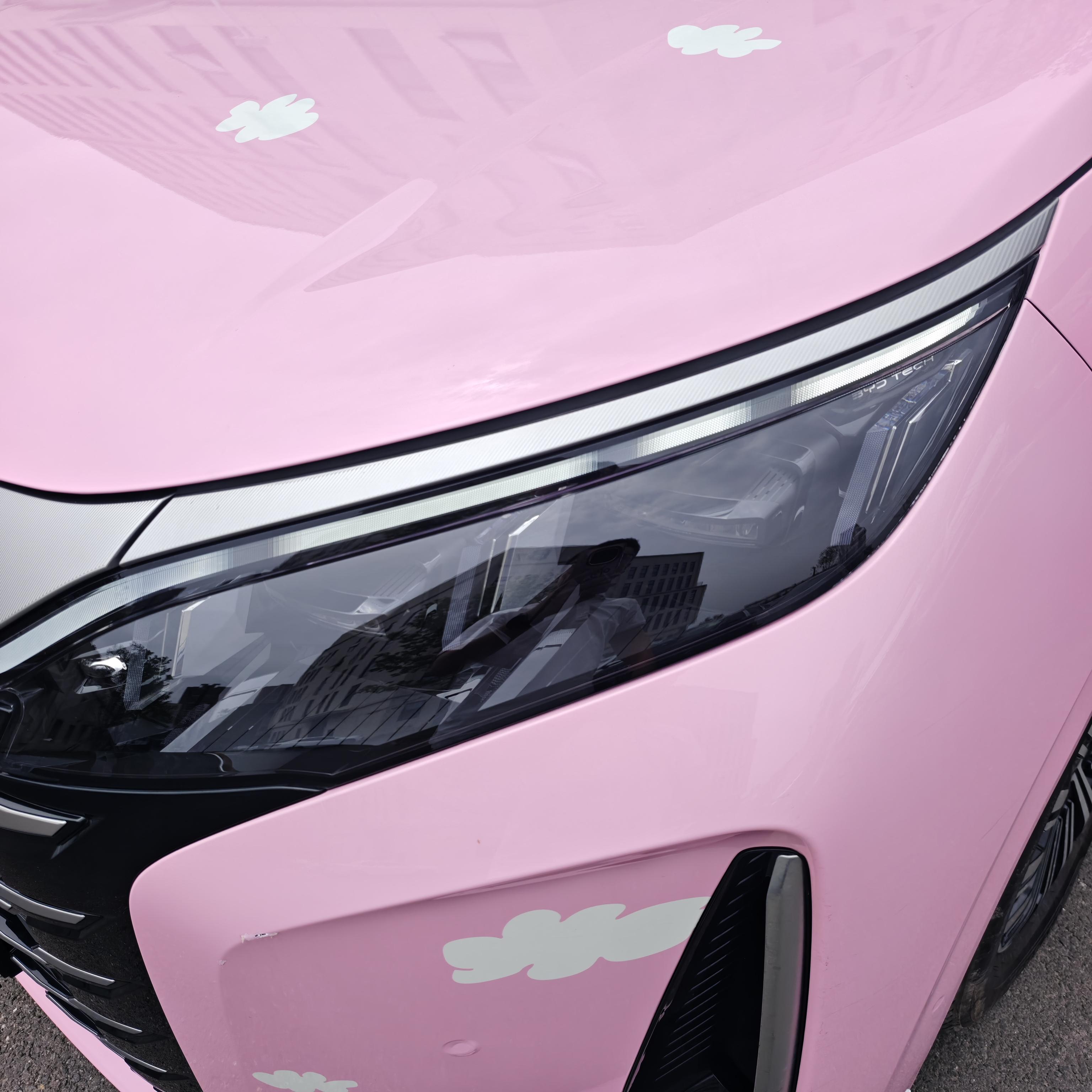 BYD Xia (M9) 2025 thumb 4