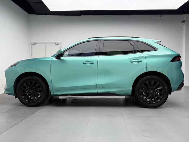 Dongfeng Fengxing T5 EVO 2021 thumb 2