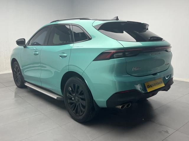 Dongfeng Fengxing T5 EVO 2021 thumb 3