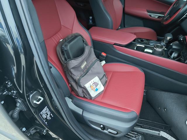 Lexus NX 2025 thumb 6