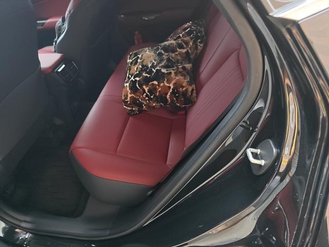Lexus NX 2025 thumb 7