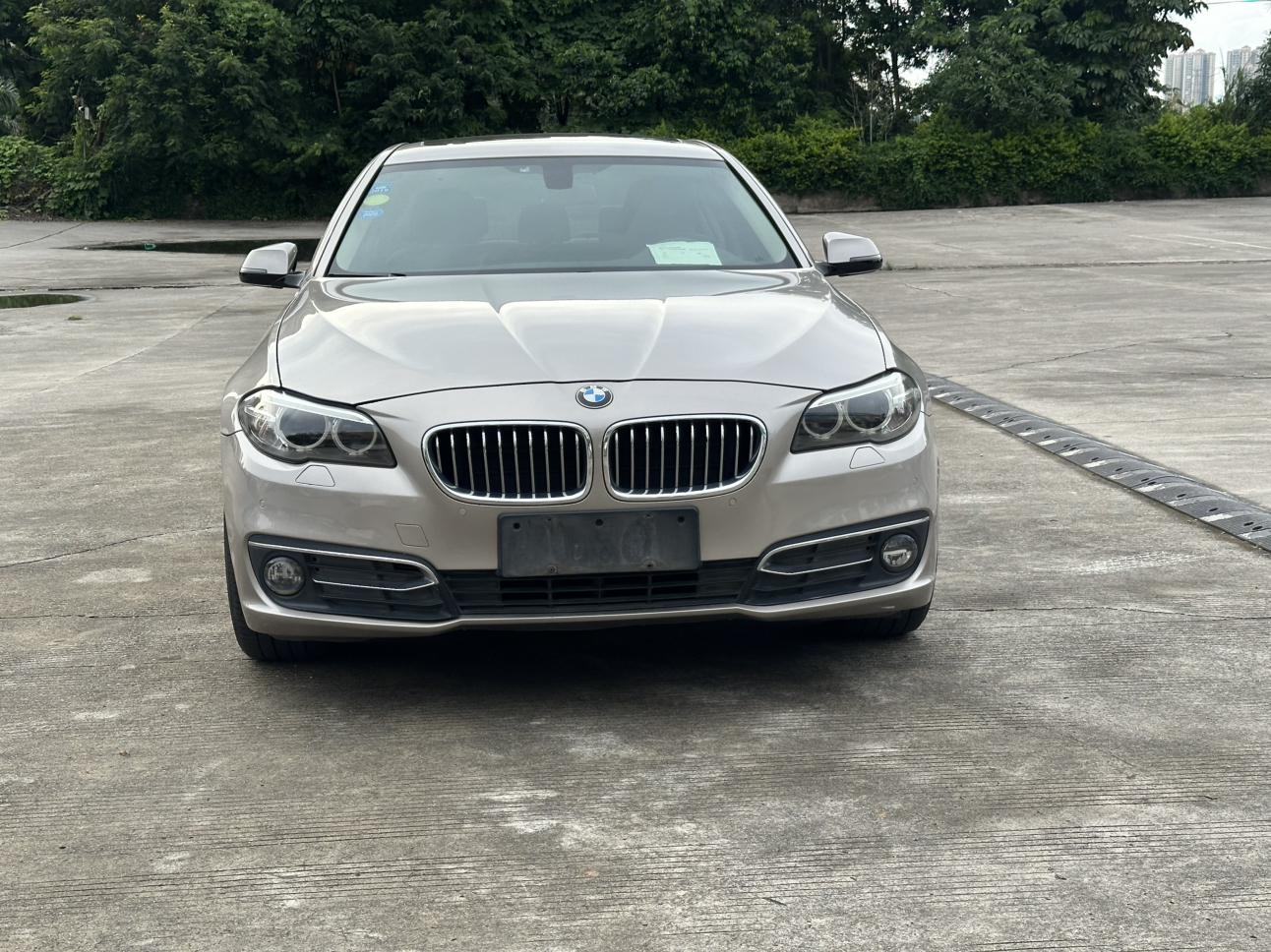 BMW 5 серии 2017 thumb 9