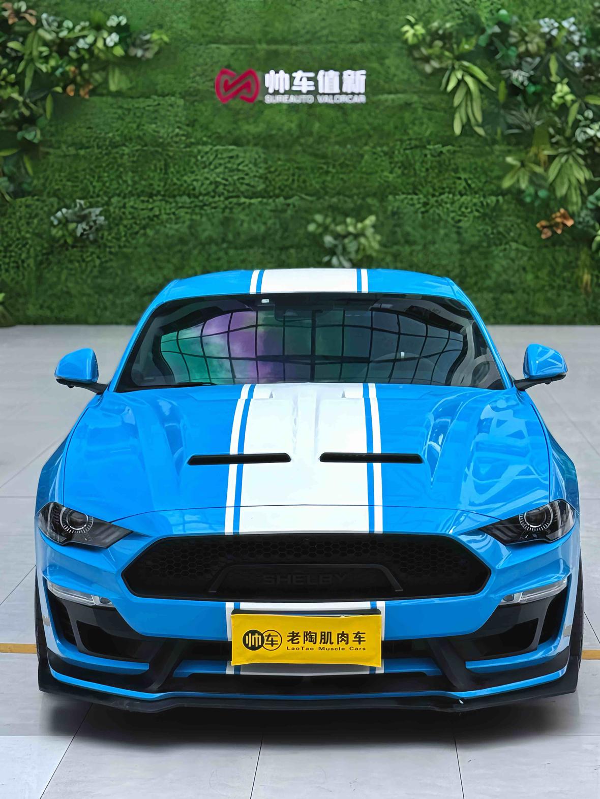 Ford Mustang Mach-E 2018 thumb 5