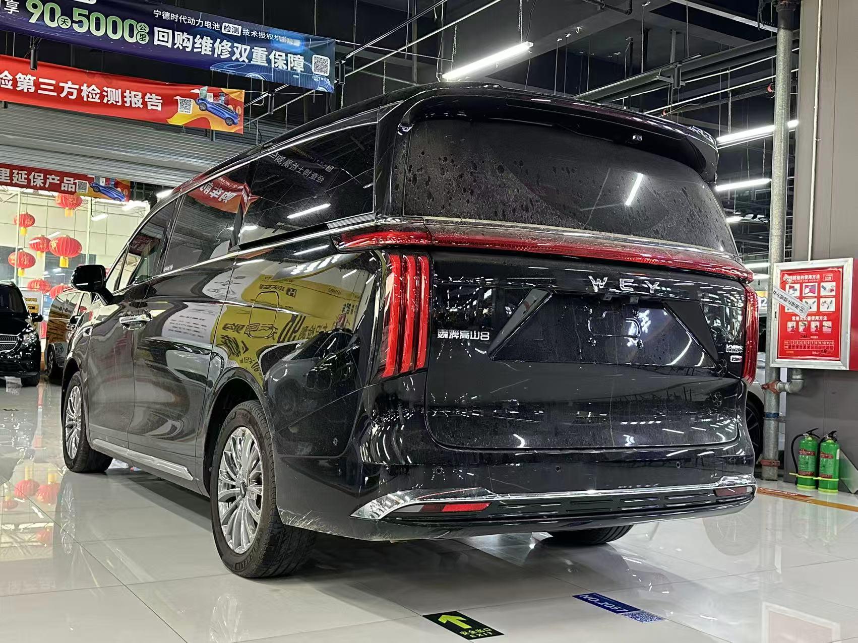 Wey Gao Shan 2025 thumb 2