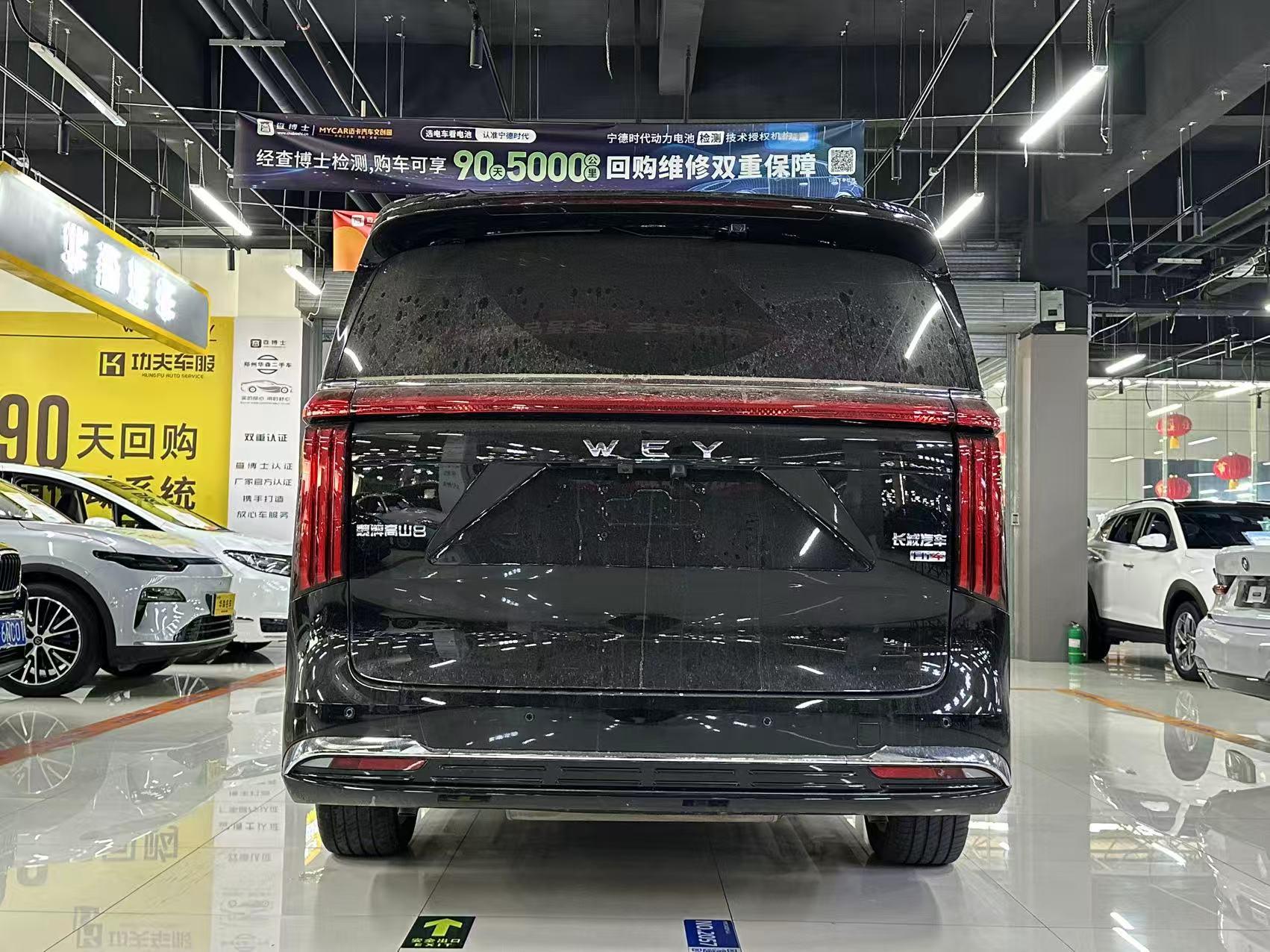 Wey Gao Shan 2025 thumb 3