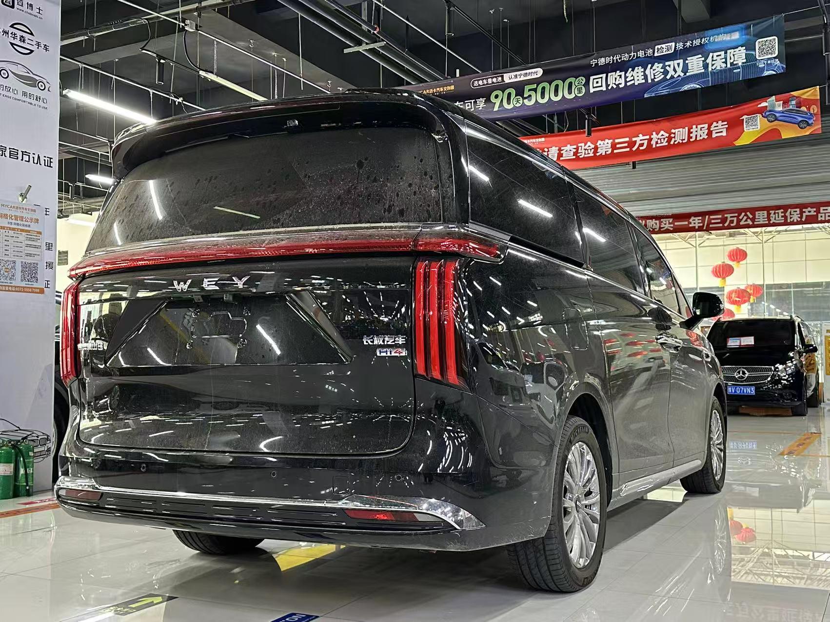 Wey Gao Shan 2025 thumb 4