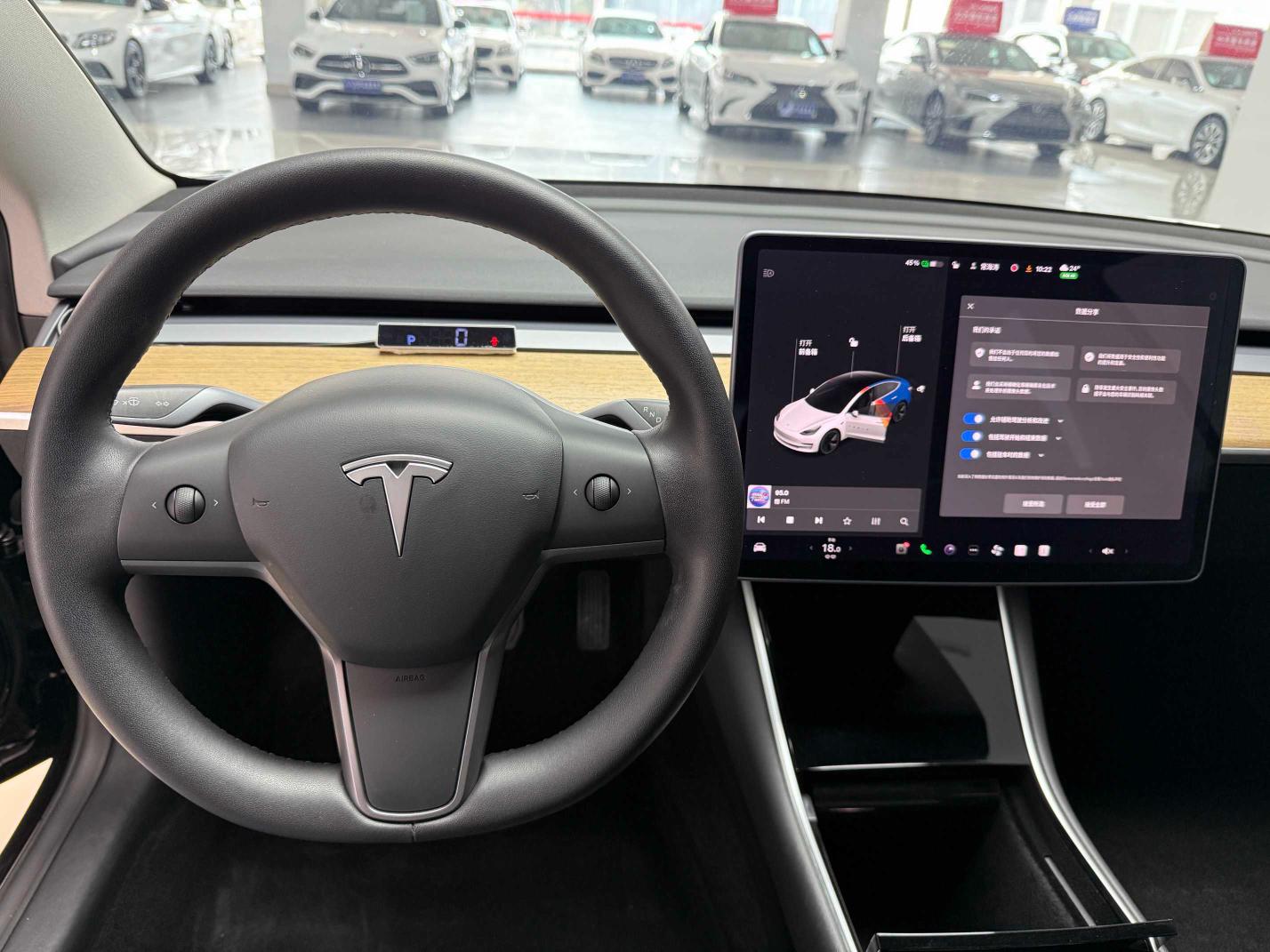 Tesla Model 3 2020 thumb 5