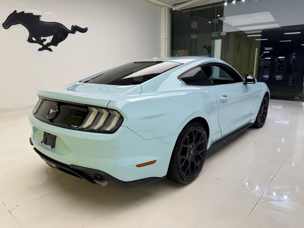 Ford Mustang Mach-E 2020 thumb 4