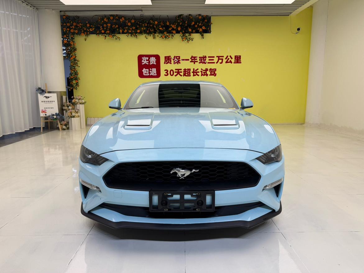 Ford Mustang Mach-E 2020 thumb 12