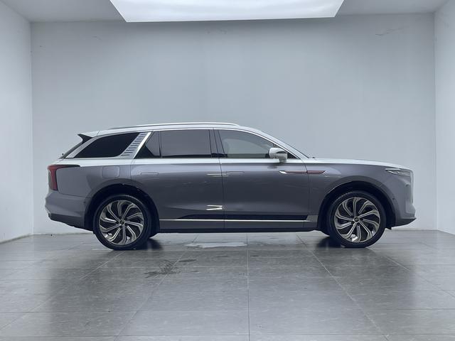 Hongqi E-HS9 2020 thumb 6