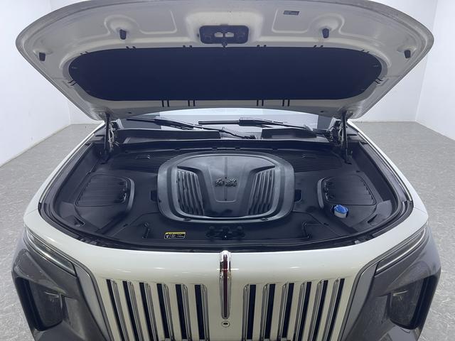 Hongqi E-HS9 2020 thumb 8