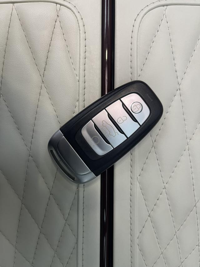 Hongqi E-HS9 2020 thumb 9