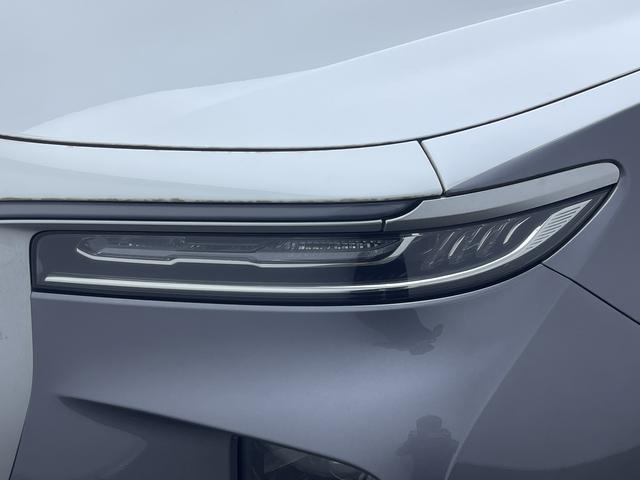 Hongqi E-HS9 2020 thumb 10