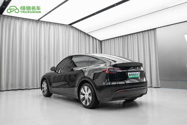 Tesla Model Y 2022 thumb 2