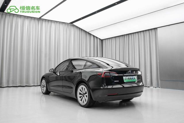 Tesla Model 3 2021 thumb 2