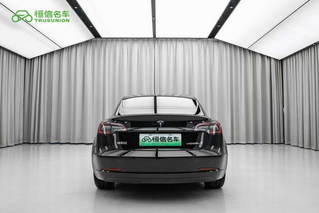 Tesla Model 3 2021 thumb 3
