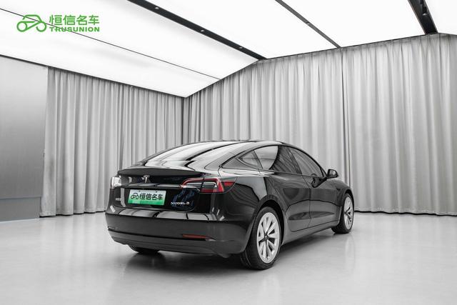 Tesla Model 3 2021 thumb 4