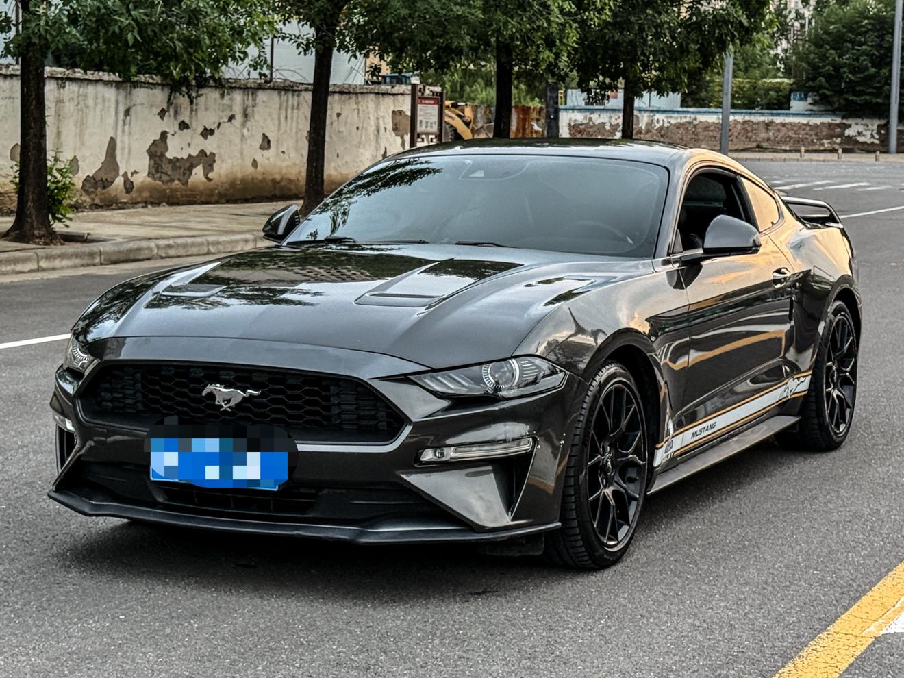 Ford Mustang Mach-E 2018 thumb 8