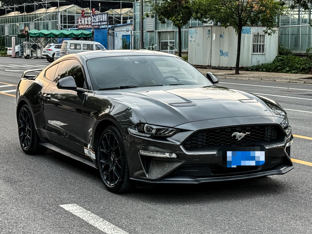 Ford Mustang Mach-E 2018 thumb 10