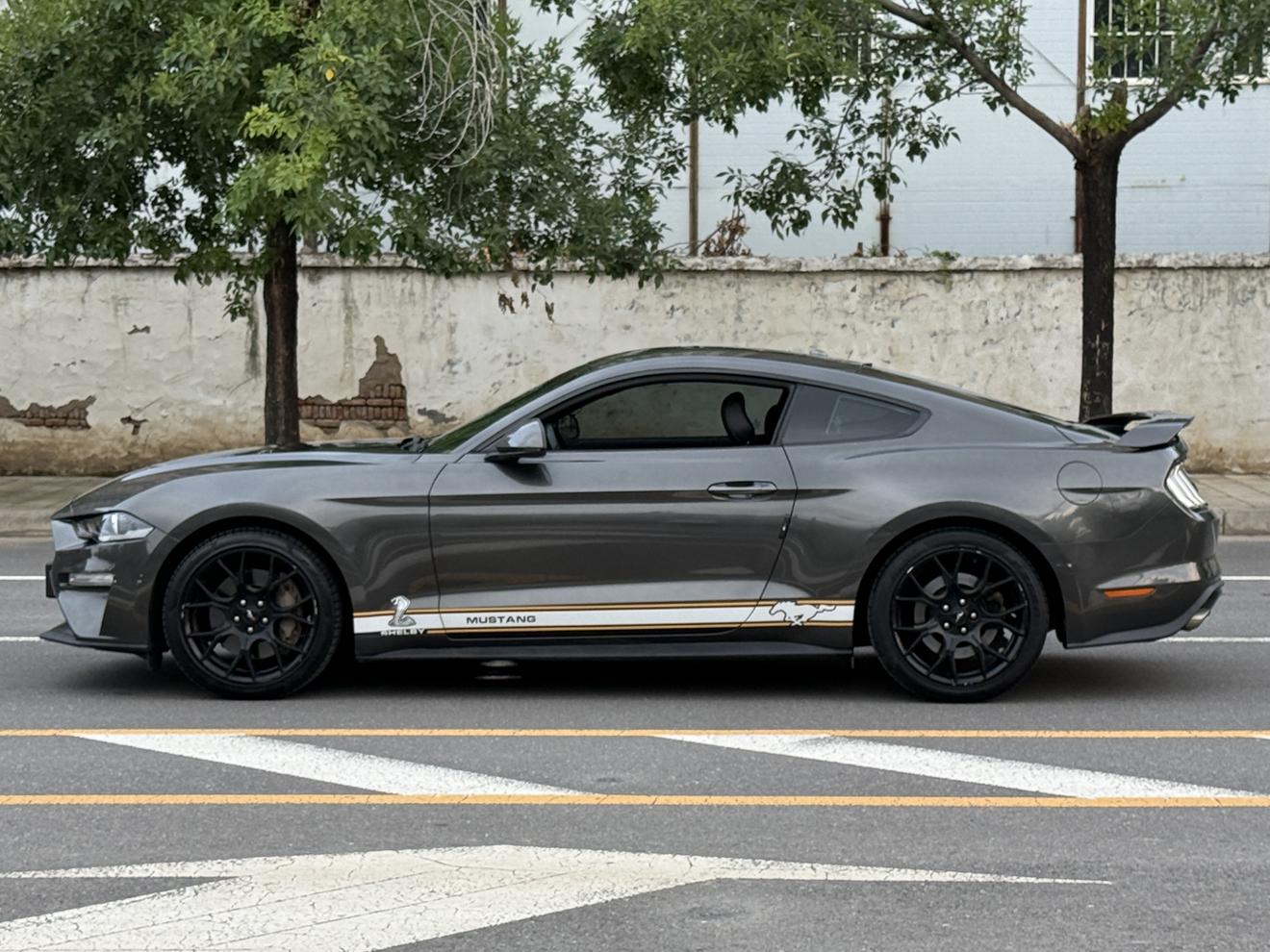 Ford Mustang Mach-E 2018 thumb 11
