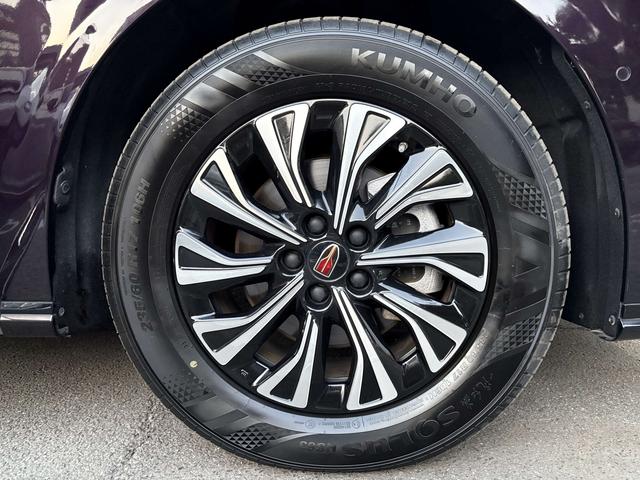 Hongqi HQ9 PHEV 2024 thumb 6