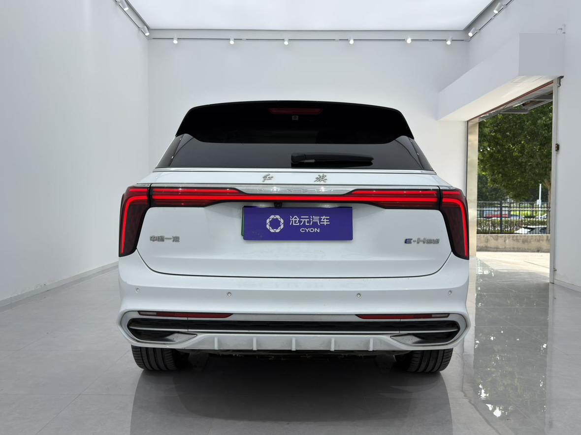 Hongqi E-HS9 2022 thumb 3