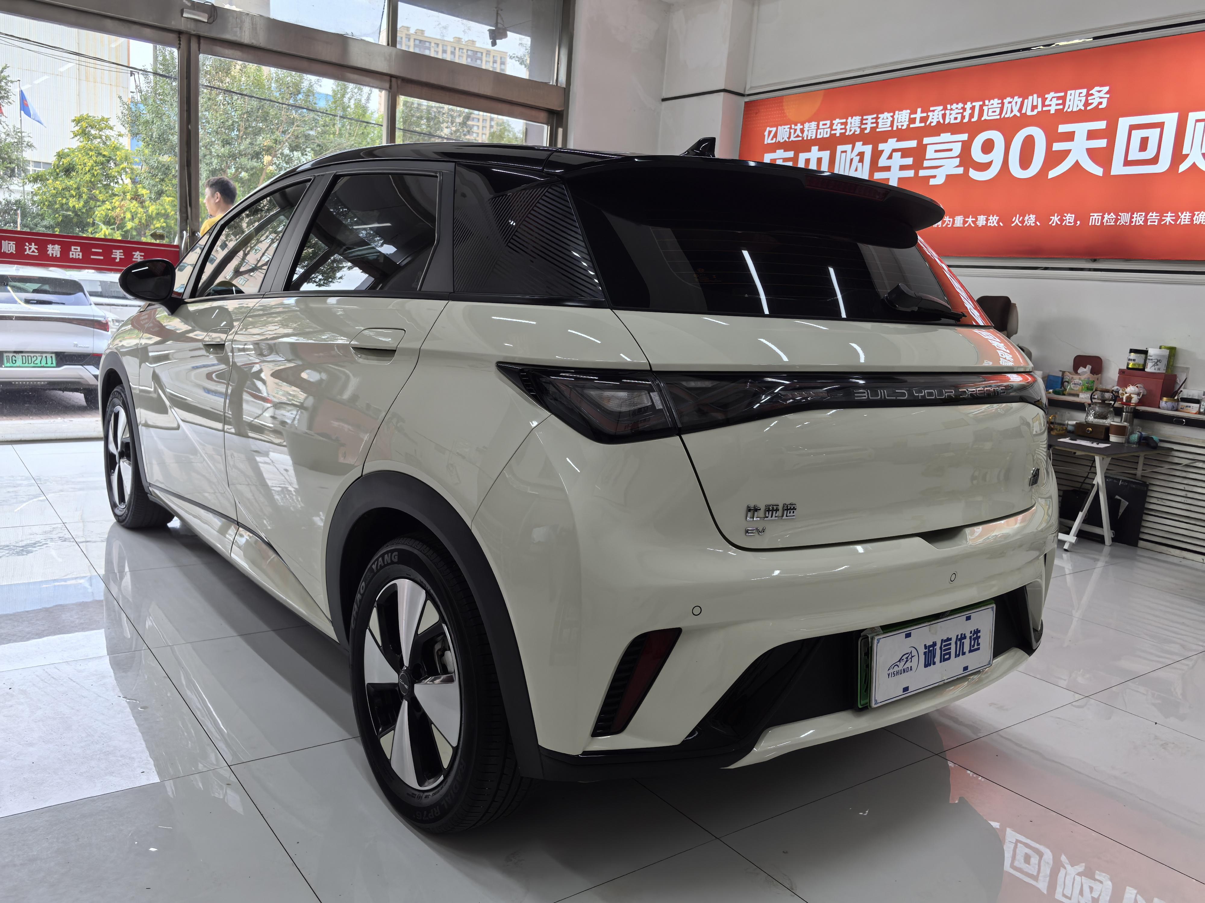 BYD Dolphin 2024 thumb 2