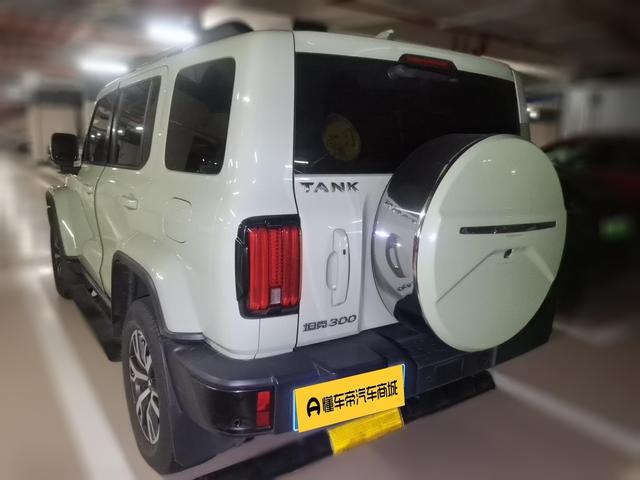 Tank 300 2021 thumb 2