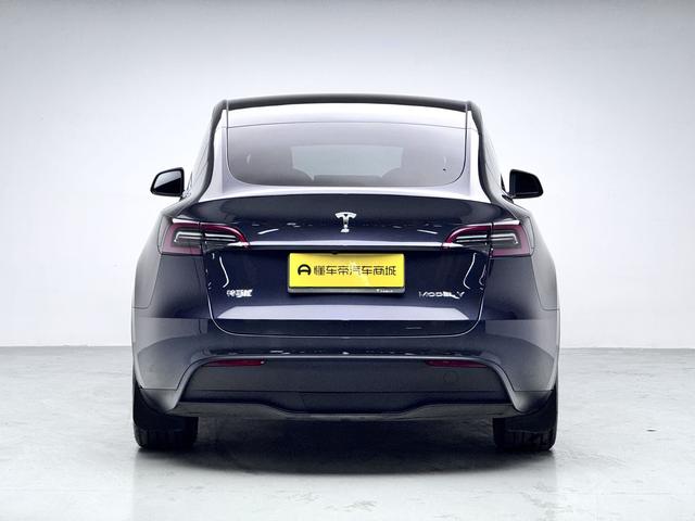 Tesla Model Y 2024 thumb 4