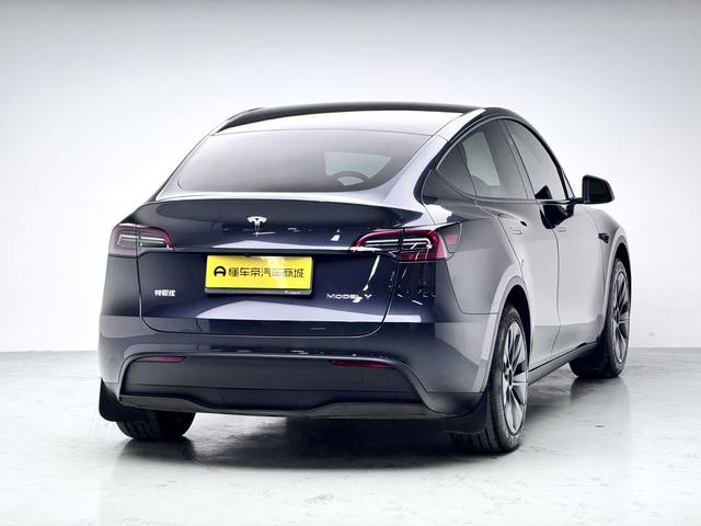 Tesla Model Y 2024 thumb 5