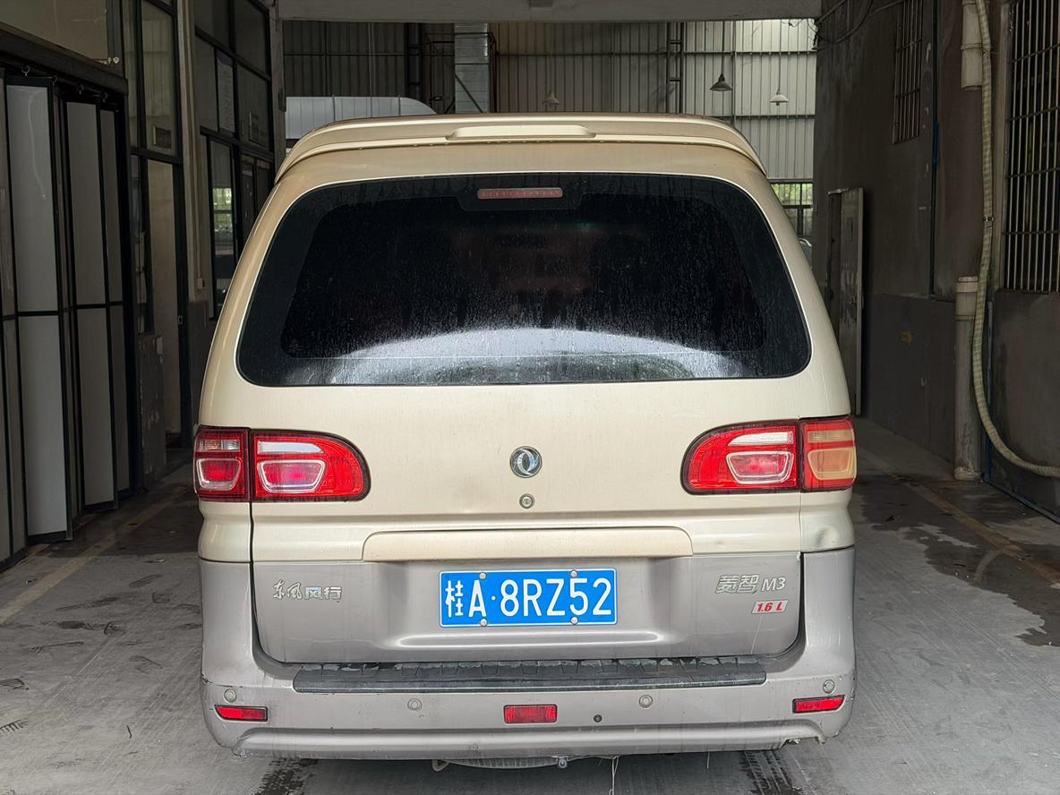 Dongfeng Fengxing Ling Zhi 2018 thumb 3