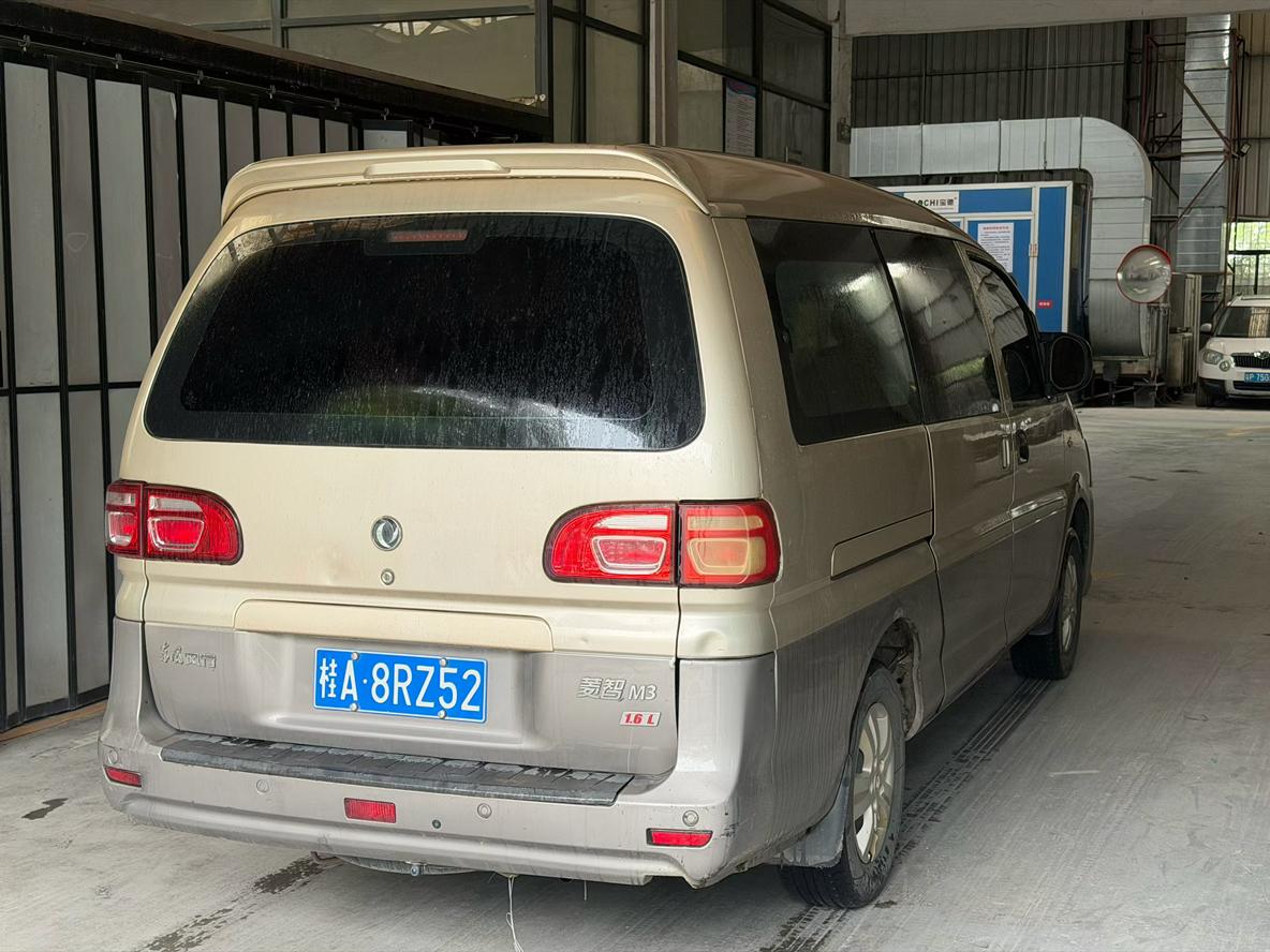 Dongfeng Fengxing Ling Zhi 2018 thumb 4