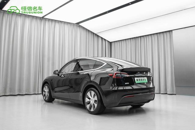 Tesla Model Y 2022 thumb 2