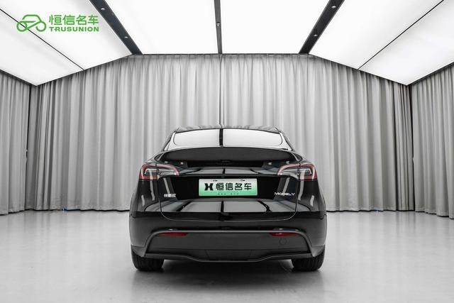 Tesla Model Y 2022 thumb 3