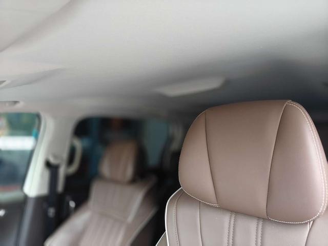 Roewe iMAX8 2023 thumb 11
