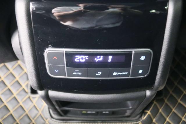 Denza X PHEV 2020 thumb 8