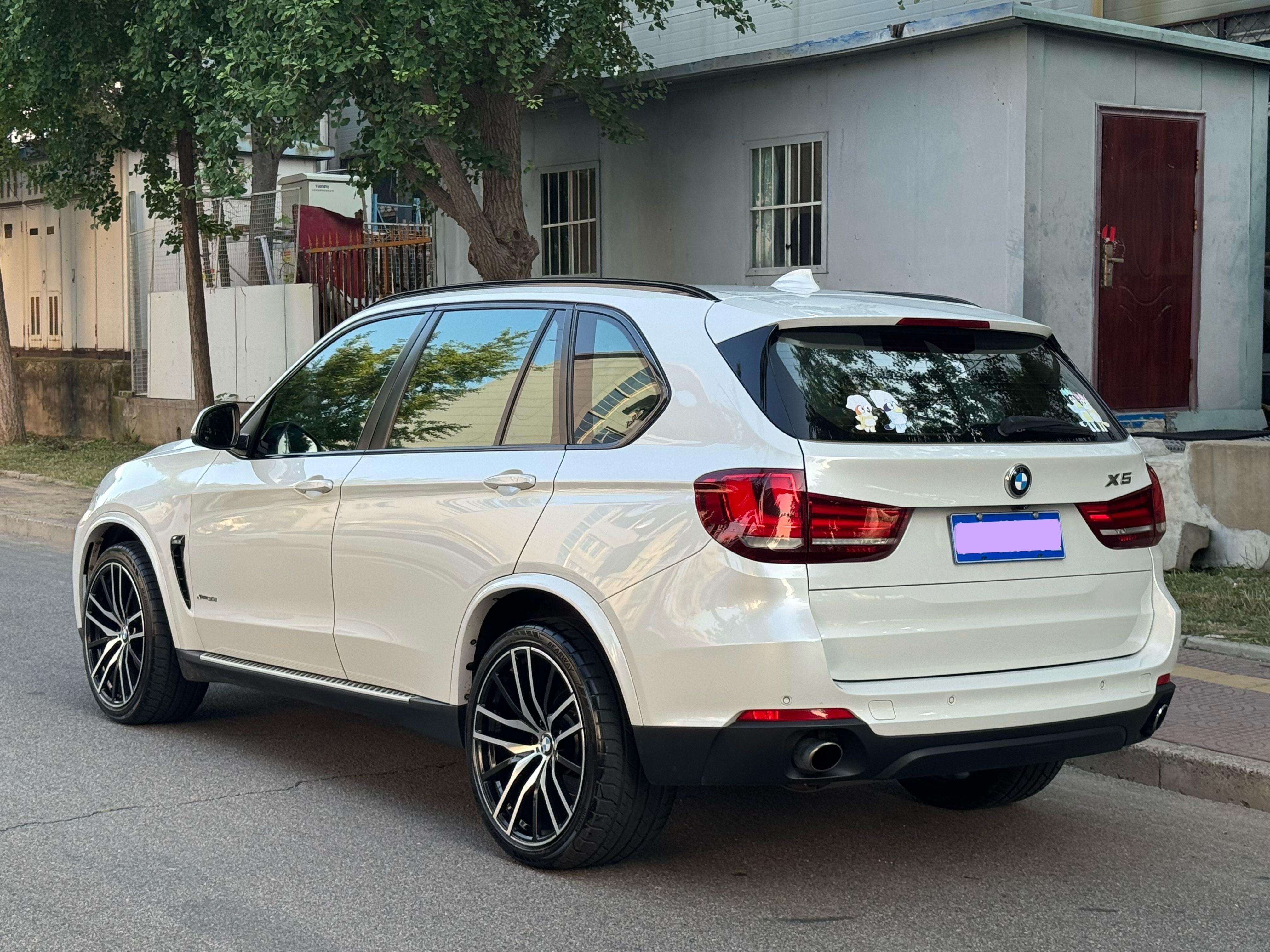 BMW X5 2014 thumb 2