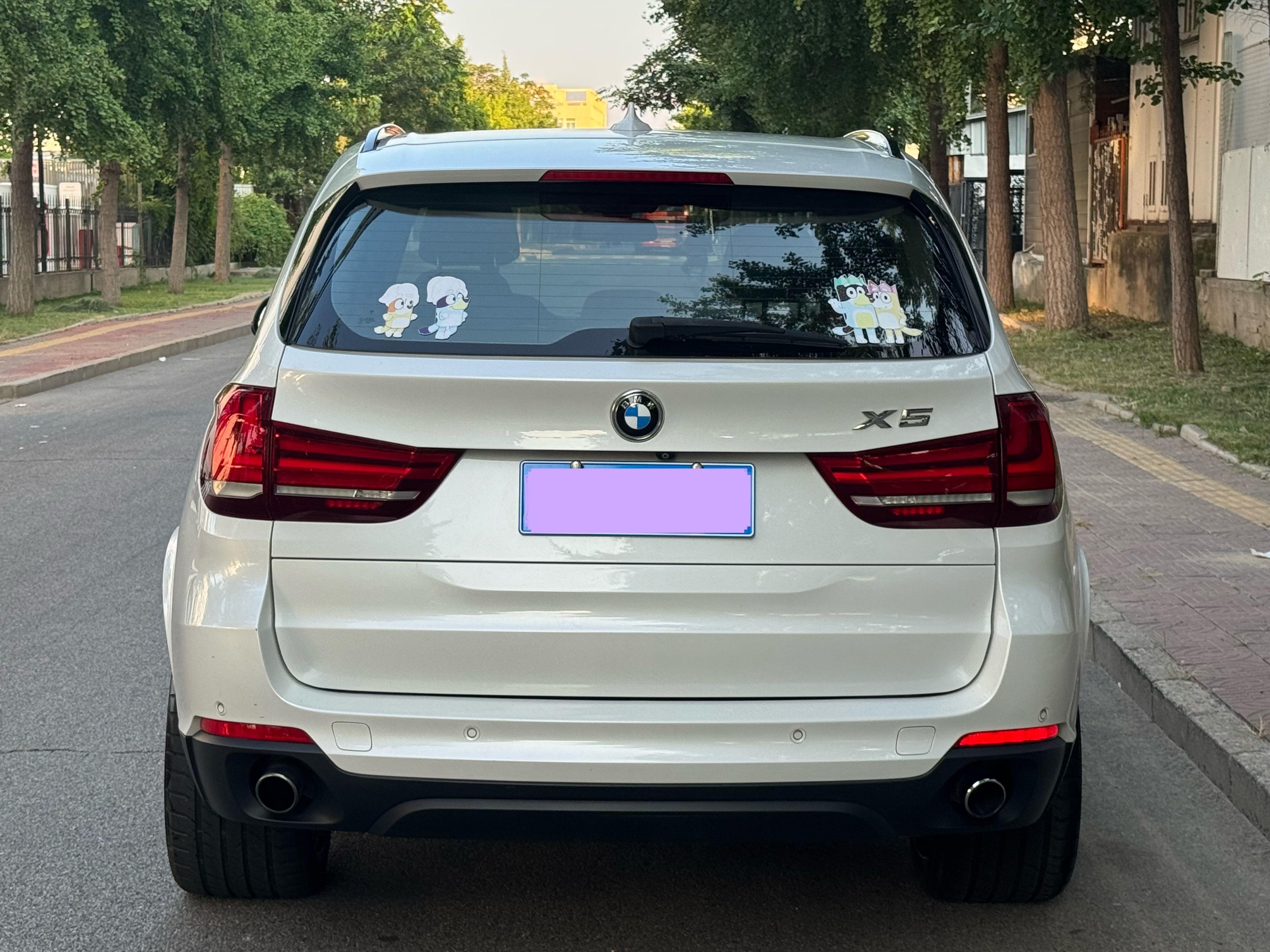 BMW X5 2014 thumb 3