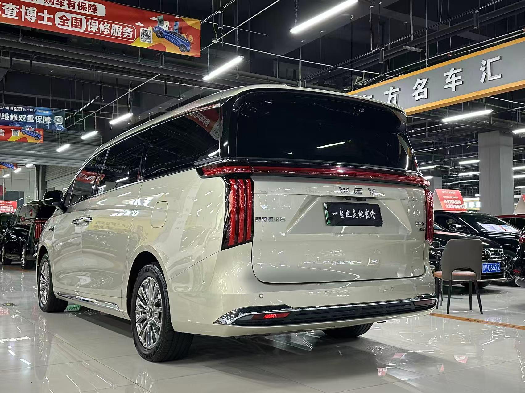 Wey Gao Shan 2025 thumb 2