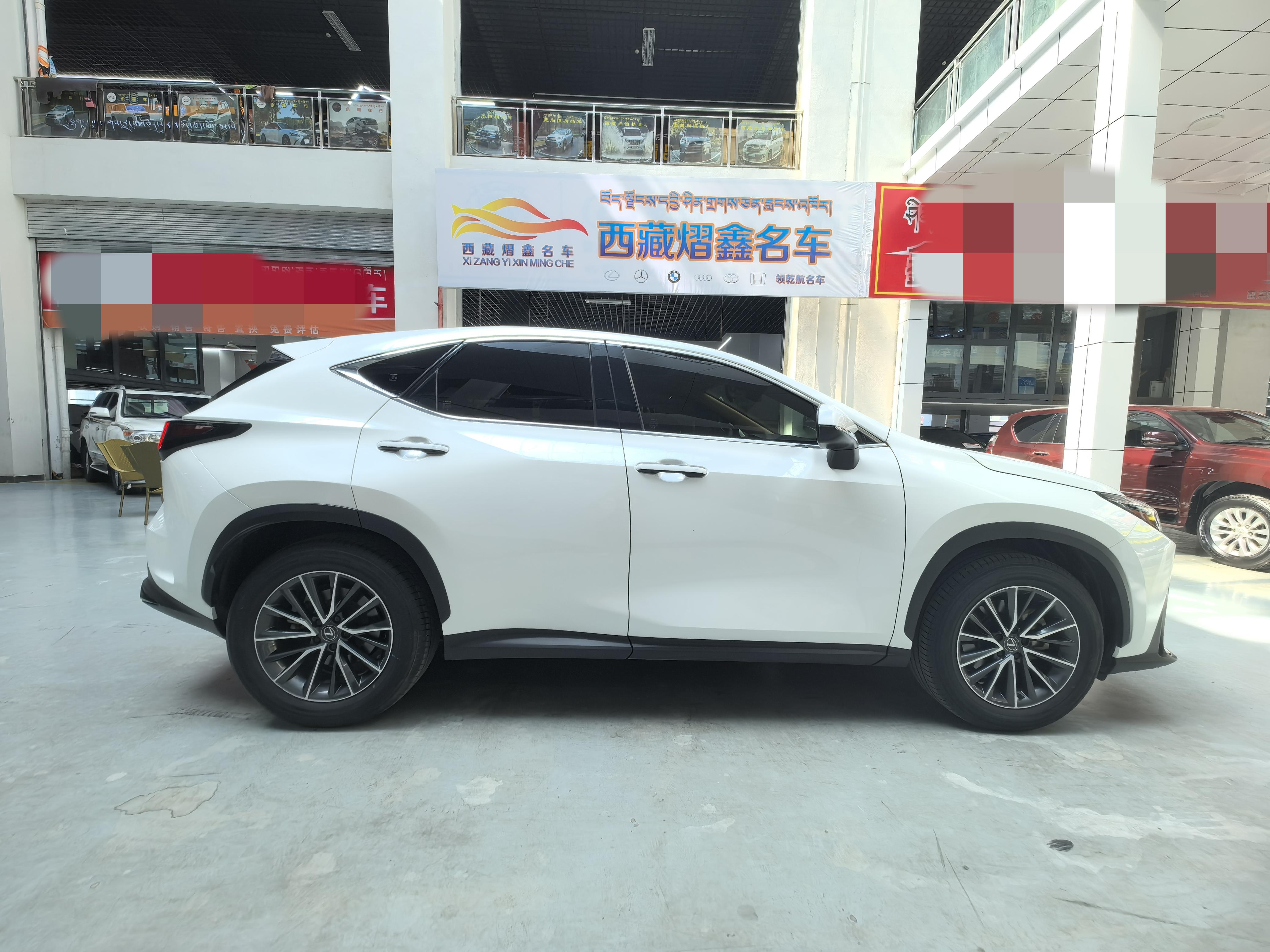 Lexus NX 2022 thumb 5