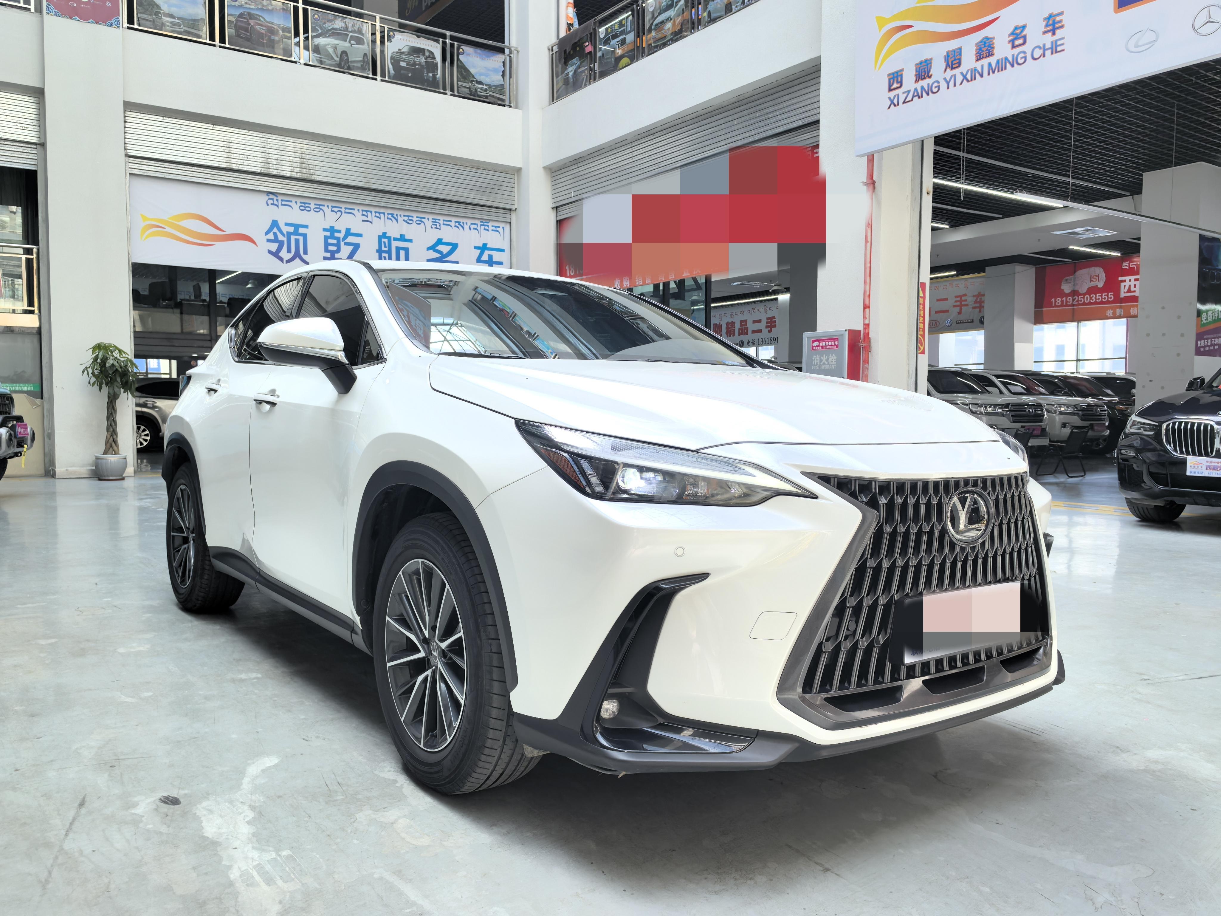 Lexus NX 2022 thumb 12