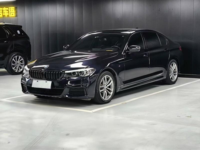 BMW 5 серии 2019 thumb 8