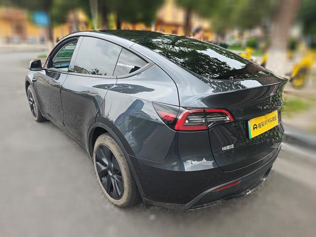Tesla Model Y 2024 thumb 2