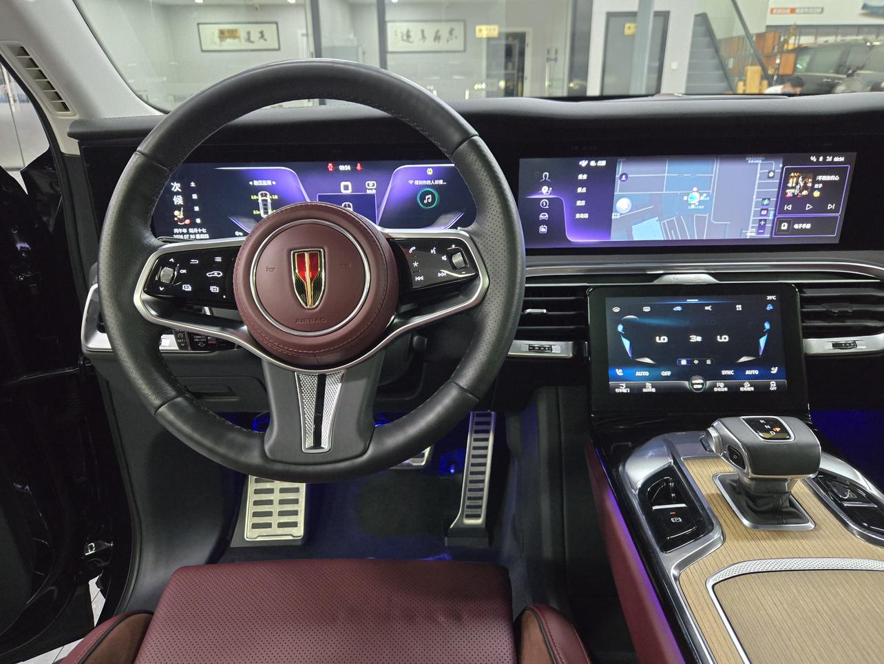 Hongqi E-HS9 2020 thumb 9