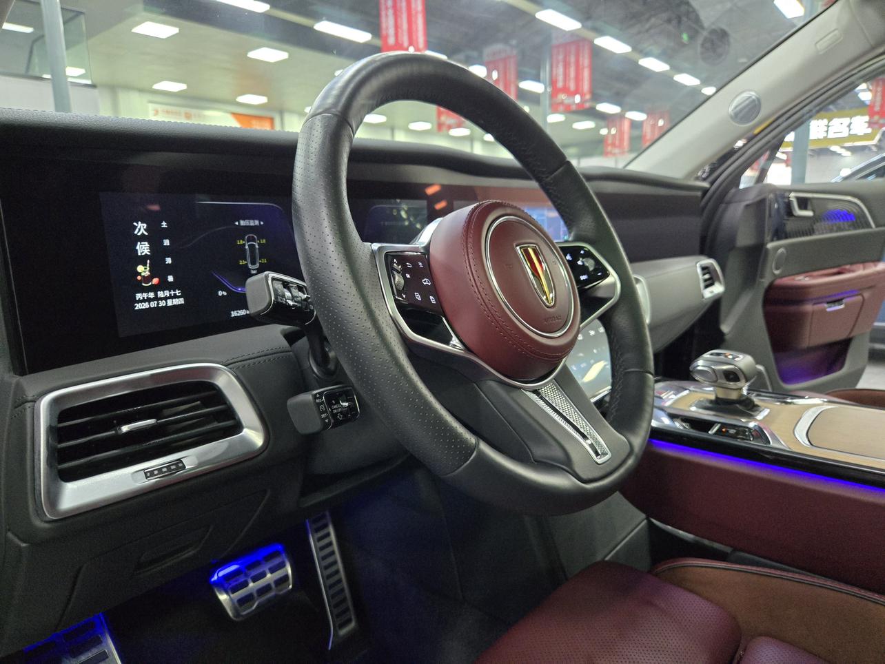 Hongqi E-HS9 2020 thumb 10