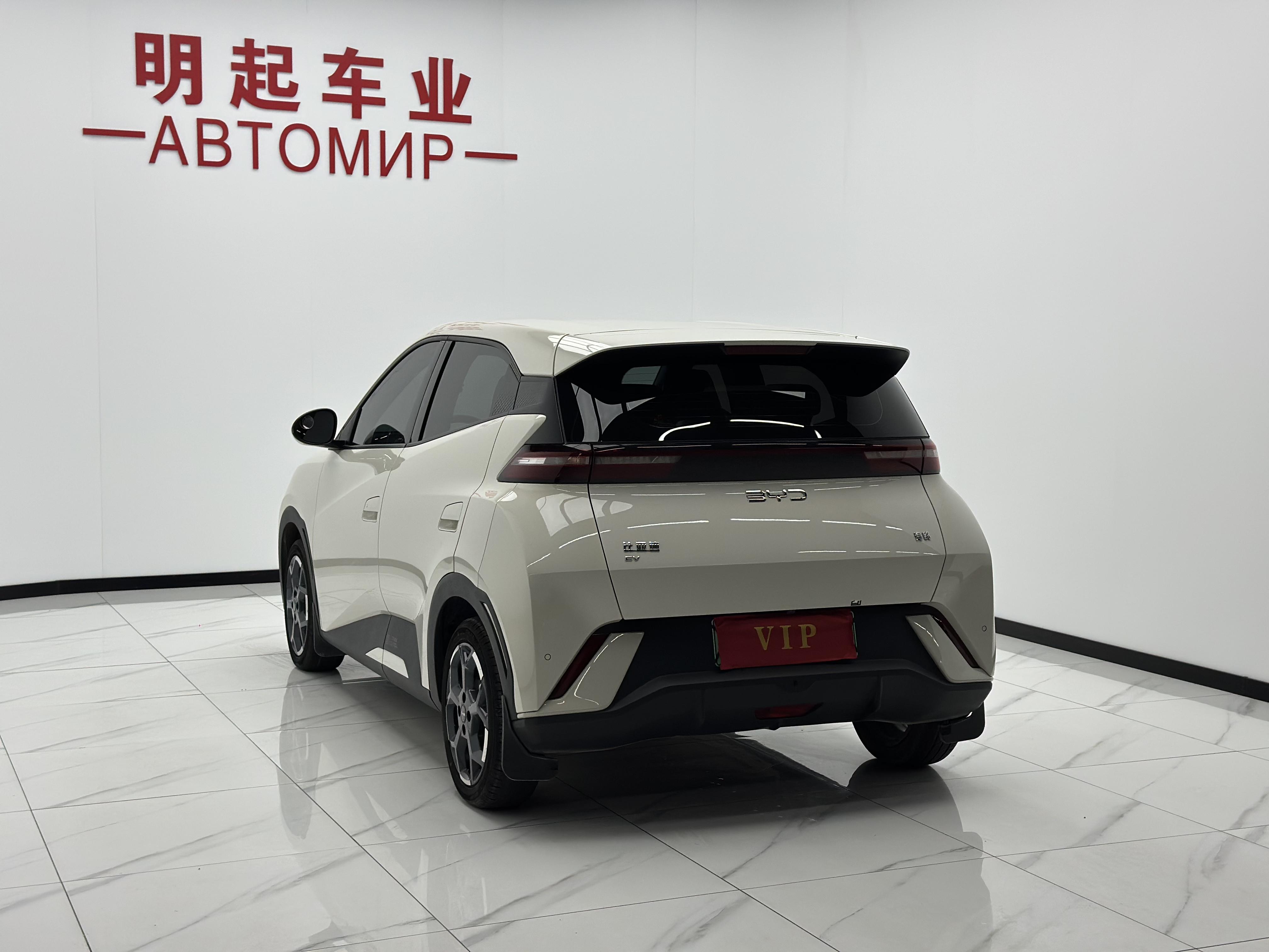 BYD Seagull 2024 thumb 2