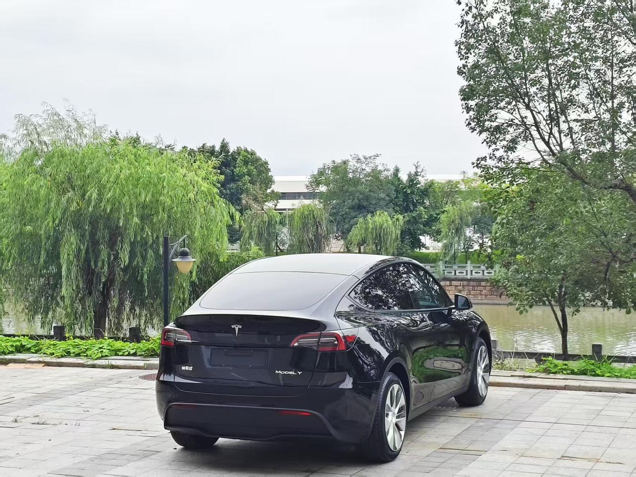 Tesla Model Y 2021 thumb 2